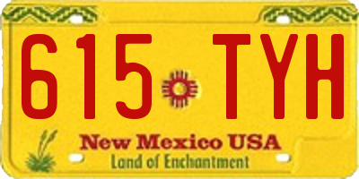 NM license plate 615TYH