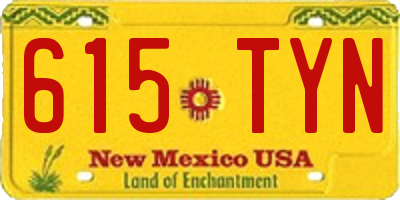NM license plate 615TYN