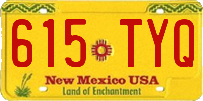 NM license plate 615TYQ