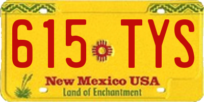 NM license plate 615TYS