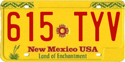 NM license plate 615TYV