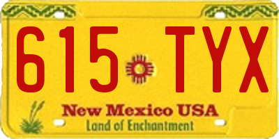 NM license plate 615TYX