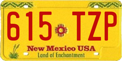 NM license plate 615TZP