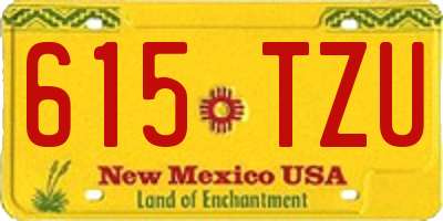 NM license plate 615TZU