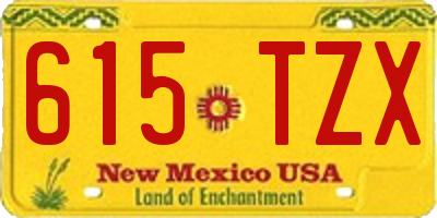 NM license plate 615TZX