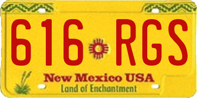 NM license plate 616RGS