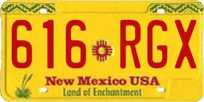 NM license plate 616RGX