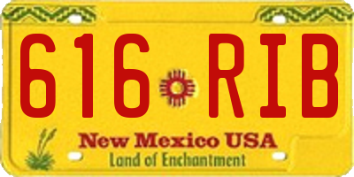 NM license plate 616RIB