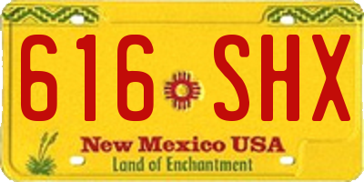 NM license plate 616SHX