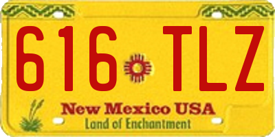 NM license plate 616TLZ
