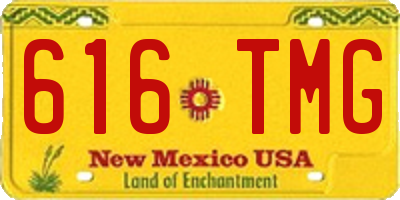 NM license plate 616TMG