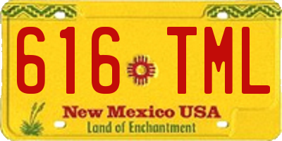 NM license plate 616TML