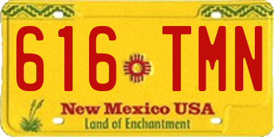 NM license plate 616TMN