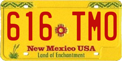 NM license plate 616TMO