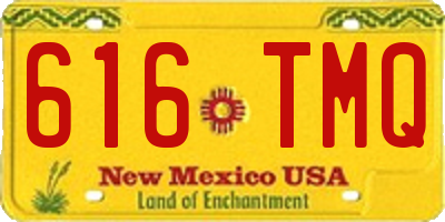 NM license plate 616TMQ