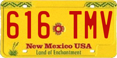 NM license plate 616TMV