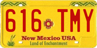 NM license plate 616TMY