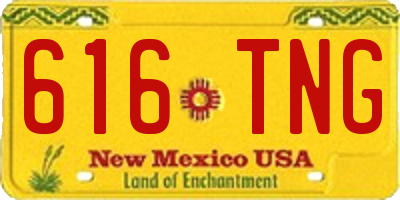 NM license plate 616TNG