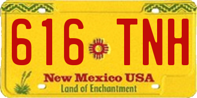 NM license plate 616TNH