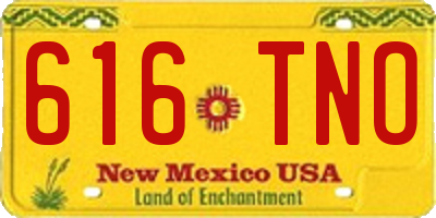 NM license plate 616TNO