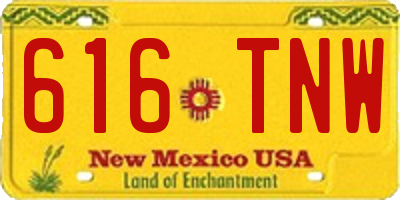NM license plate 616TNW