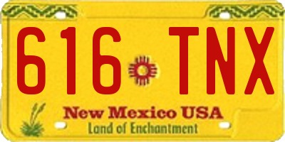 NM license plate 616TNX