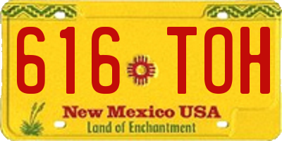 NM license plate 616TOH