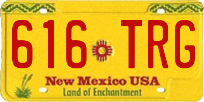 NM license plate 616TRG
