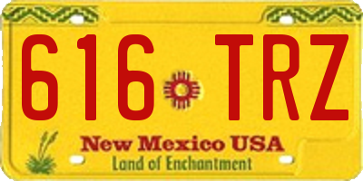 NM license plate 616TRZ