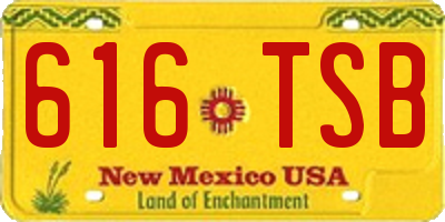 NM license plate 616TSB