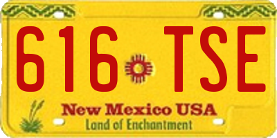 NM license plate 616TSE
