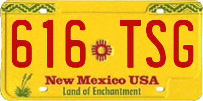 NM license plate 616TSG