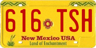 NM license plate 616TSH