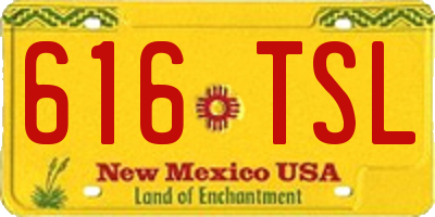 NM license plate 616TSL