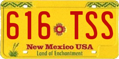 NM license plate 616TSS