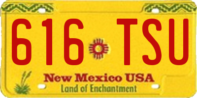 NM license plate 616TSU
