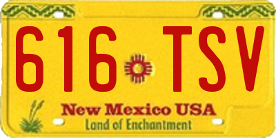 NM license plate 616TSV