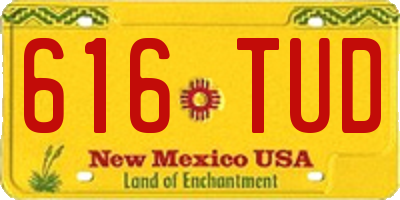 NM license plate 616TUD