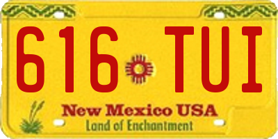 NM license plate 616TUI