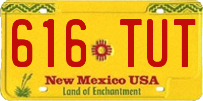 NM license plate 616TUT
