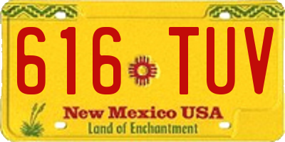 NM license plate 616TUV