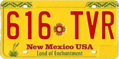 NM license plate 616TVR