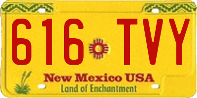 NM license plate 616TVY