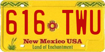 NM license plate 616TWU