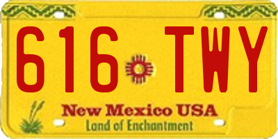 NM license plate 616TWY