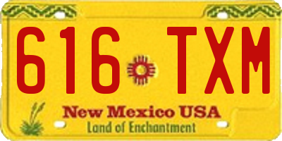 NM license plate 616TXM