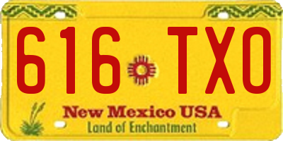 NM license plate 616TXO