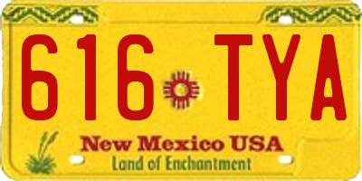 NM license plate 616TYA