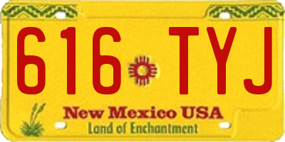 NM license plate 616TYJ