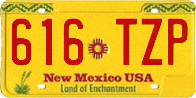 NM license plate 616TZP